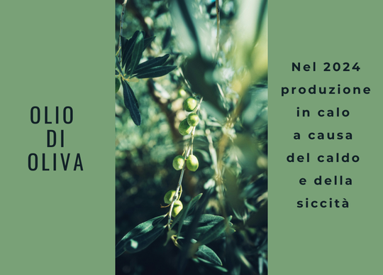calo produzione olio cause.png